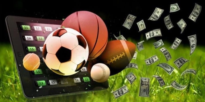 Thông tin tổng quan về cá cược thể thao KUBET